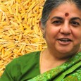 on 12 January 2014         By Dr Vandana Shiva “You cannot solve a problem with the same mindset that has created it.” - Einstein The Problem 1 billion <a href="https://worldfamilyonline.org/golden-rice-myth-not-miracle/#more-'" class="more-link">more »</a>