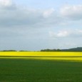 An unholy alliance of pro- and anti-GMO countries have struck a deal that will sweep away the obstacles to genetically engineered crops in the EU, writes Lawrence Woodward. 31st May <a href="https://worldfamilyonline.org/deceitful-compromise-clears-the-way-for-gmo-crops-in-europe/#more-'" class="more-link">more »</a>