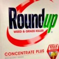Oliver Tickell 13th April 2016   The EU Parliament has responded to the health concerns of millions by calling on the Commission to severely restrict permitted uses of the toxic <a href="https://worldfamilyonline.org/european-parliament-votes-to-ban-most-uses-of-glyphosate/#more-'" class="more-link">more »</a>