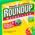 Arthur Neslen Tuesday 17 May 2016 Chairman of UN’s joint meeting on pesticide residues co-runs scientific institute which received donation from Monsanto, which uses glyphosate. Glyphosate is a core ingredient <a href="https://worldfamilyonline.org/unwho-panel-in-conflict-of-interest-row-over-glyphosate-cancer-risk/#more-'" class="more-link">more »</a>